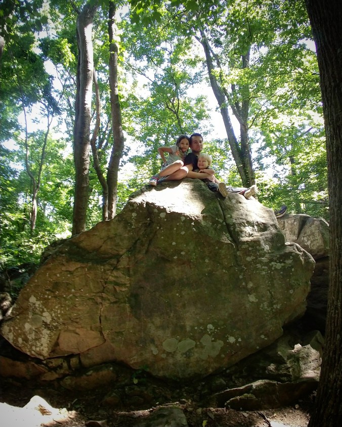 IMG_20180707_123417_316