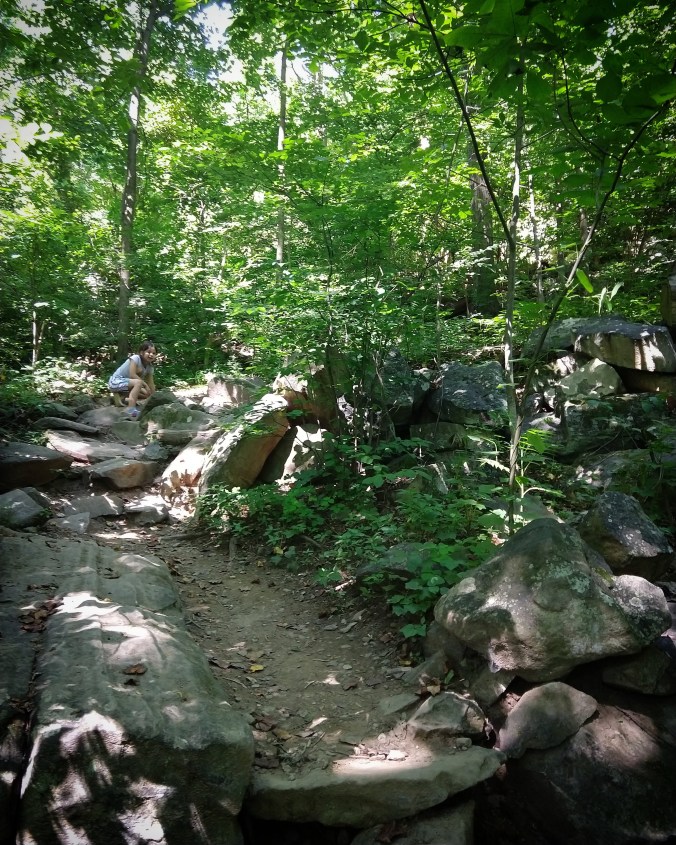 IMG_20180707_195455_276