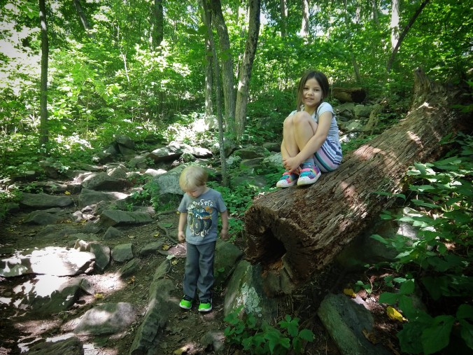 IMG_20180707_201157_670