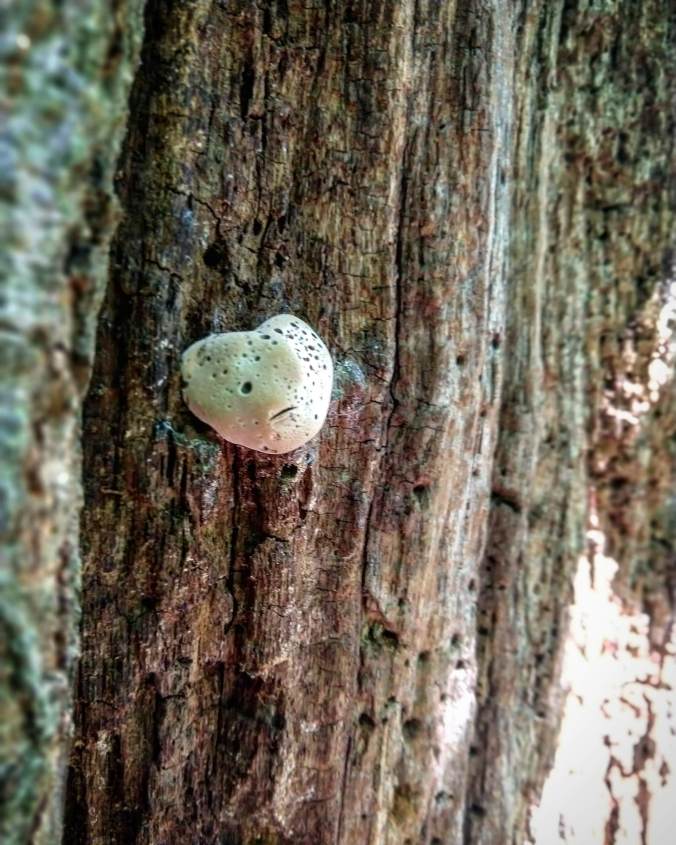 IMG_20180707_202145_114