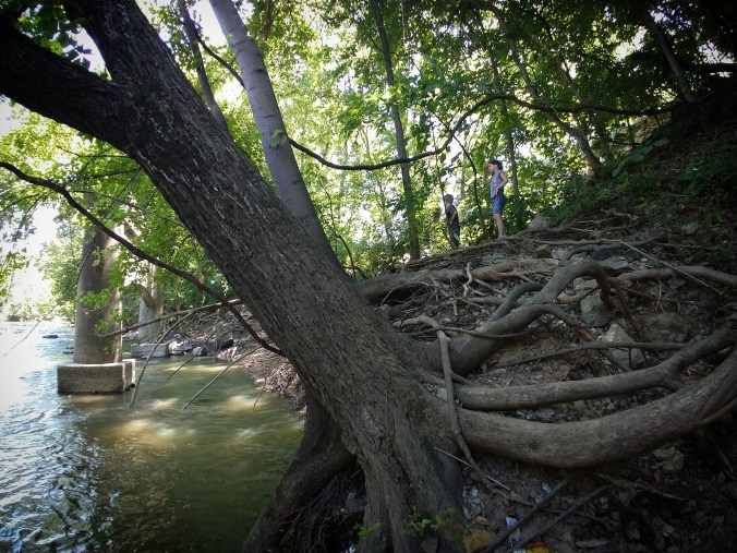 IMG_20180709_204903_510