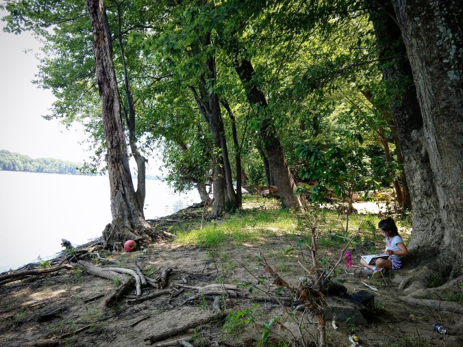 IMG_20180714_164757_349