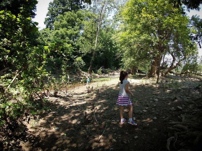 IMG_20180714_212340_001