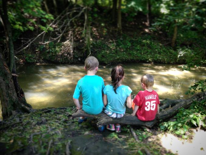 IMG_20180716_213550_274