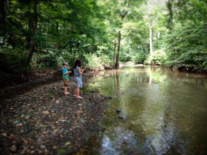 IMG_20180727_145616_810