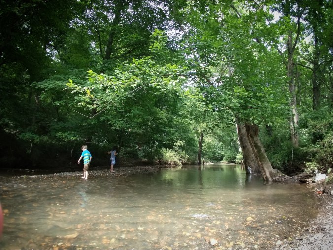 IMG_20180727_213434_293