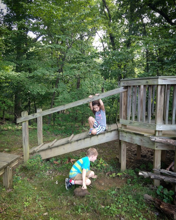 IMG_20180727_213552_761