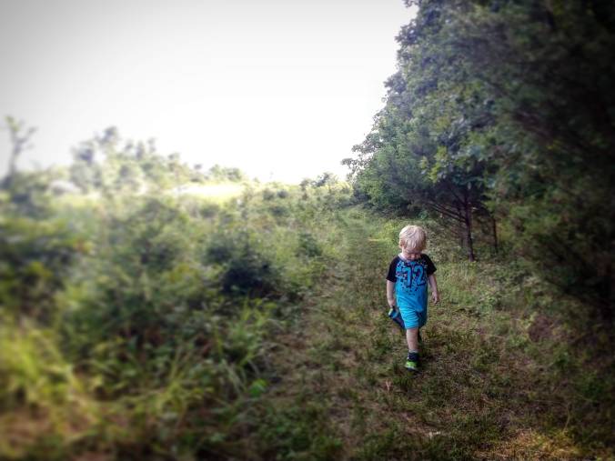 IMG_20180727_213730_049