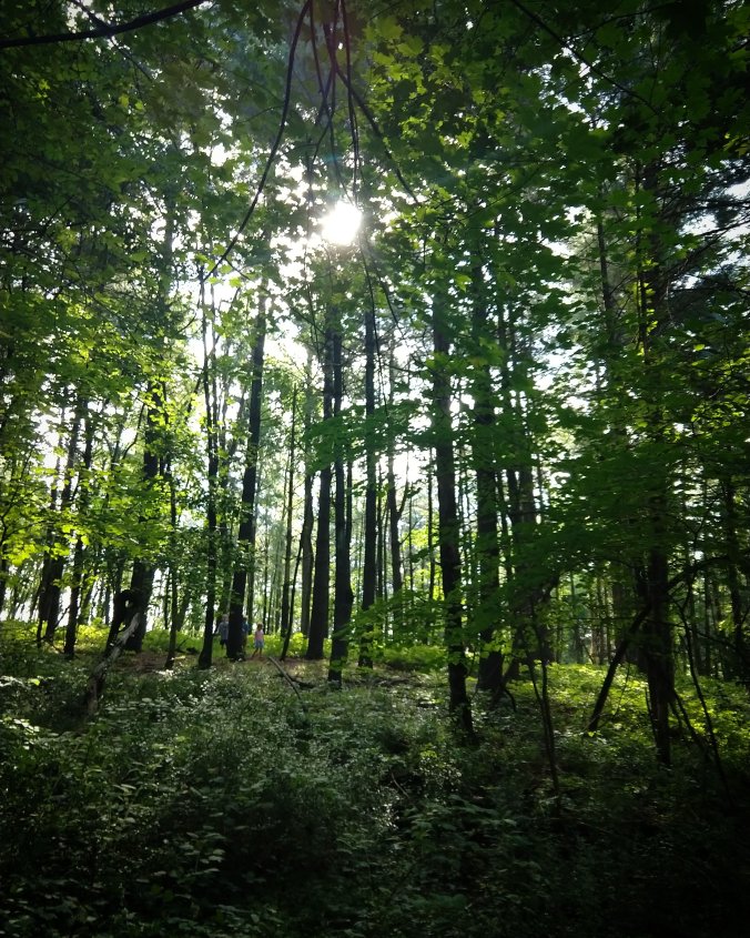 IMG_20180727_213815_485