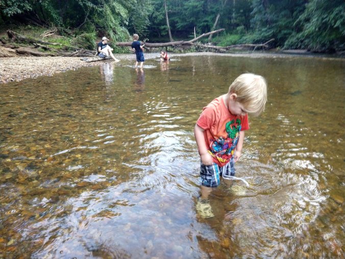 IMG_20180729_224248_156