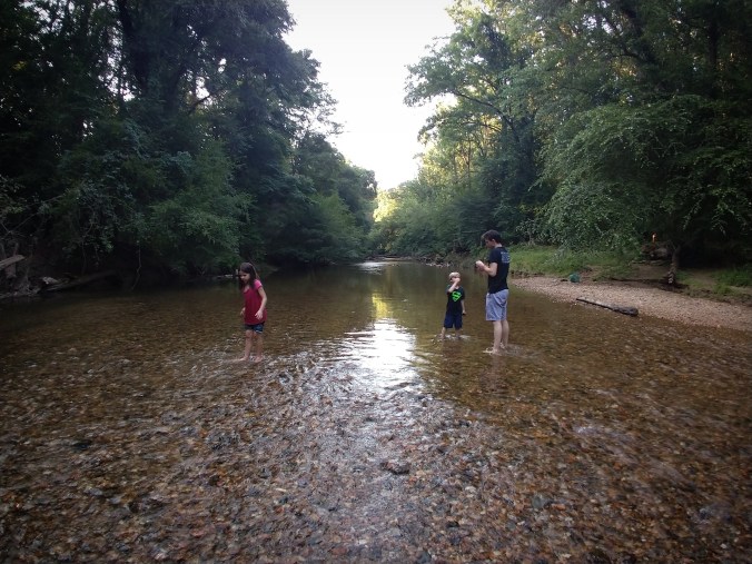 IMG_20180729_224454_104