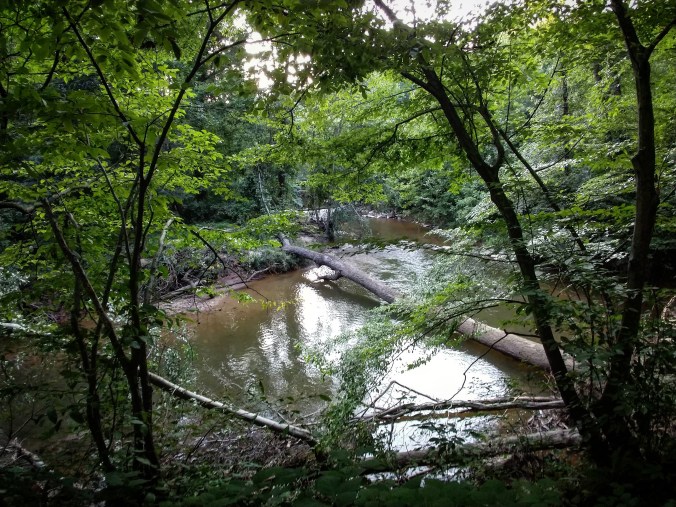 IMG_20180729_224745_321