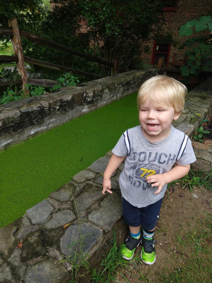 IMG_20180731_122650985