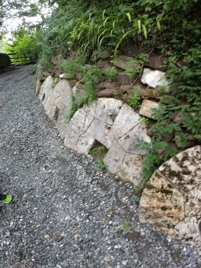 IMG_20180731_123134540