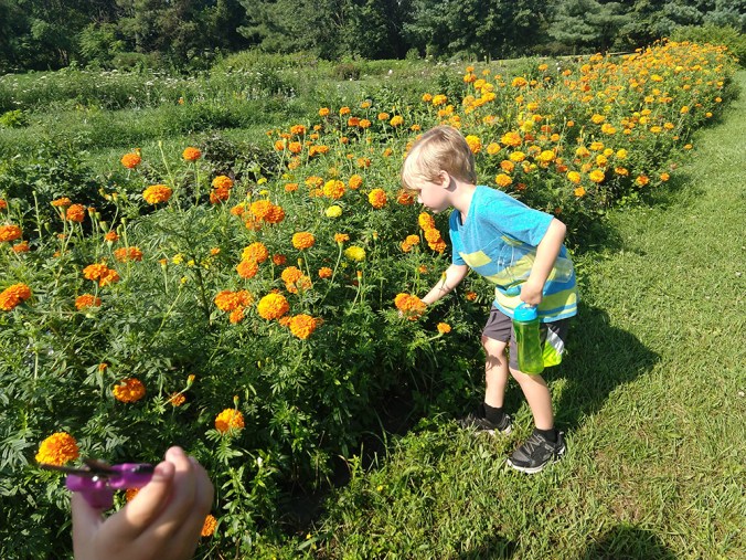 IMG_20180807_095752973