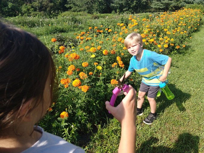 IMG_20180807_095753869