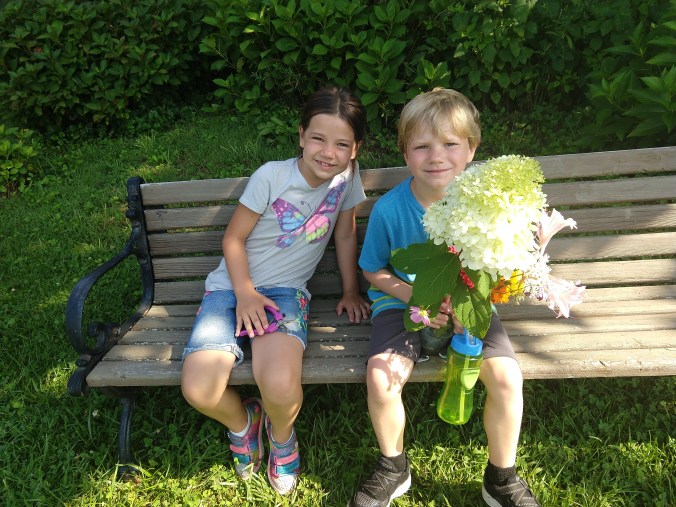 IMG_20180807_101001556_BURST000_COVER_TOP