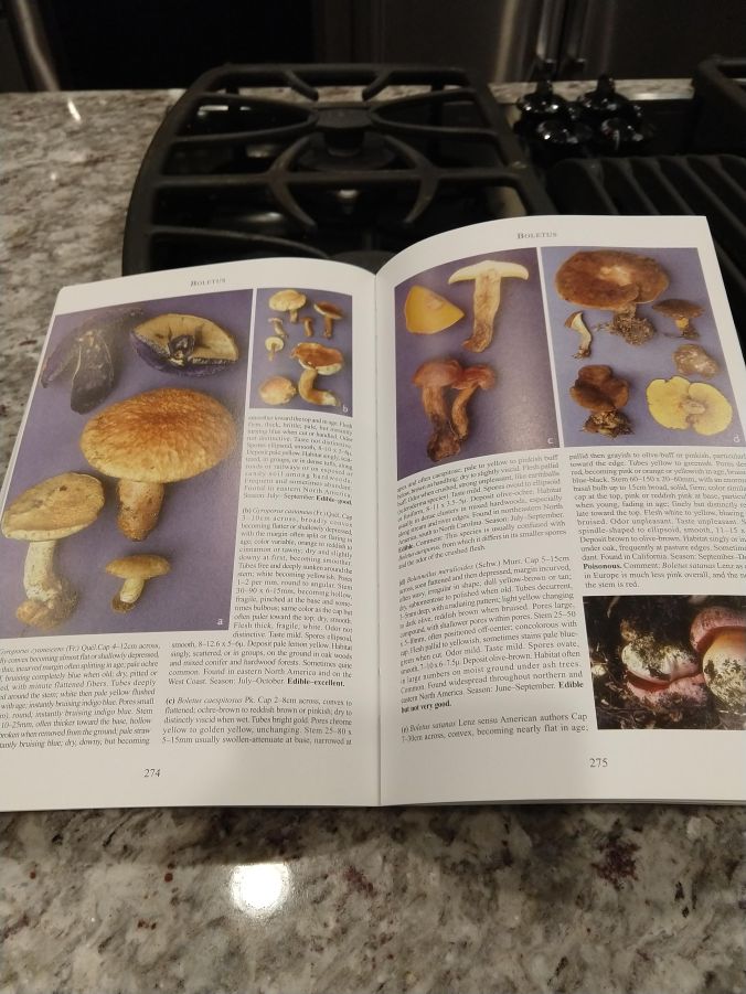 IMG_20180807_203400964