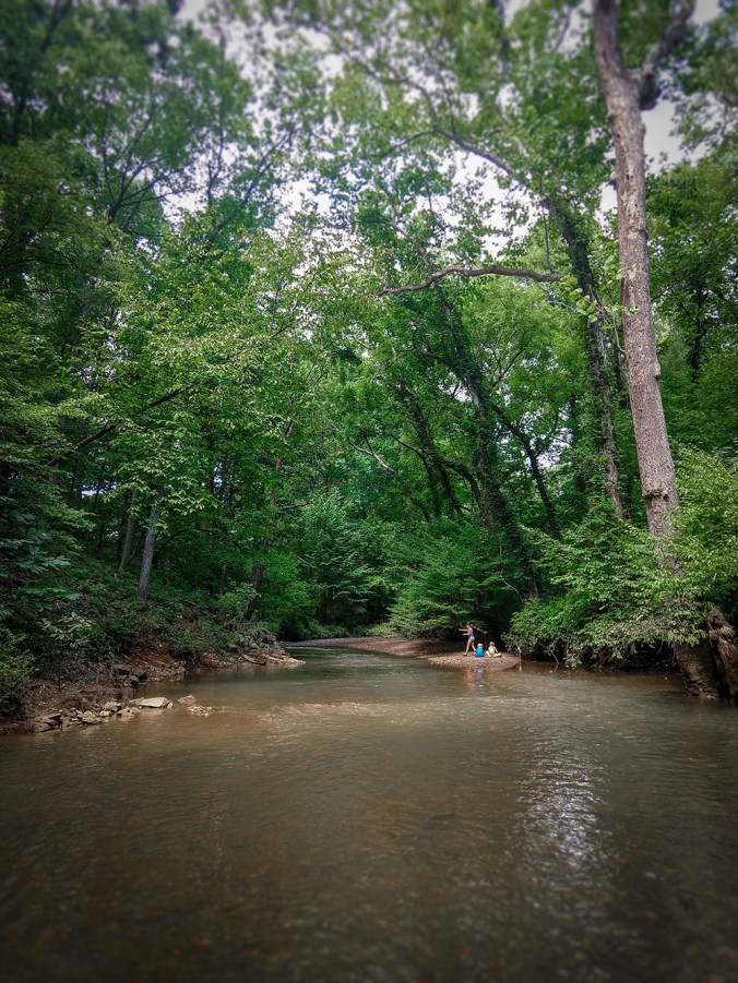 IMG_20180808_113944728_small