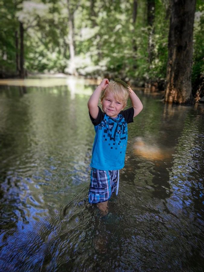 IMG_20180808_122620547_PORTRAIT_new