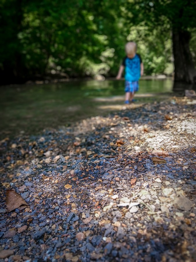 IMG_20180808_123247769_PORTRAIT_new