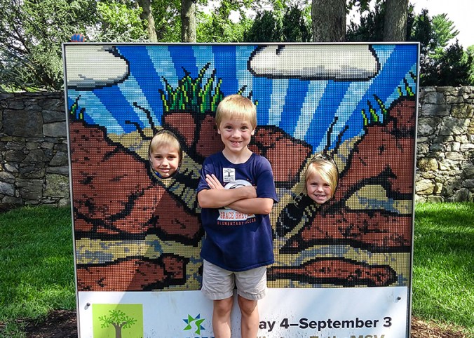 IMG_20180809_110325876_small