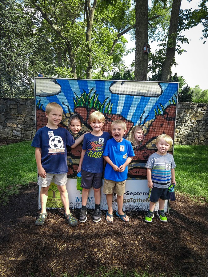 IMG_20180809_110428264_small