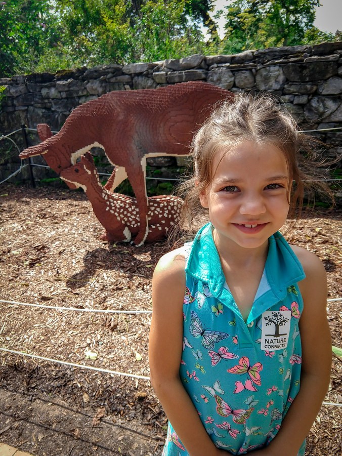 IMG_20180809_110513429_small