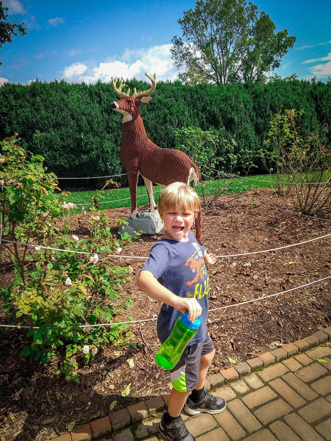 IMG_20180809_110545192_small