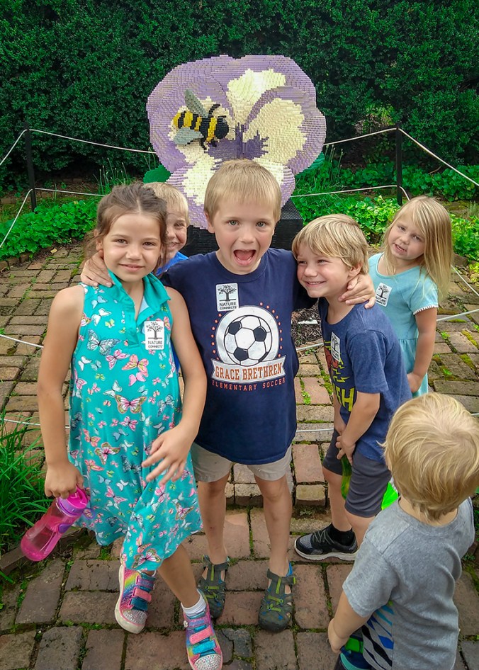 IMG_20180809_111839864_small