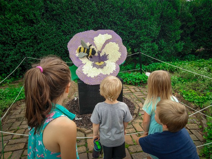 IMG_20180809_111926322_smaller