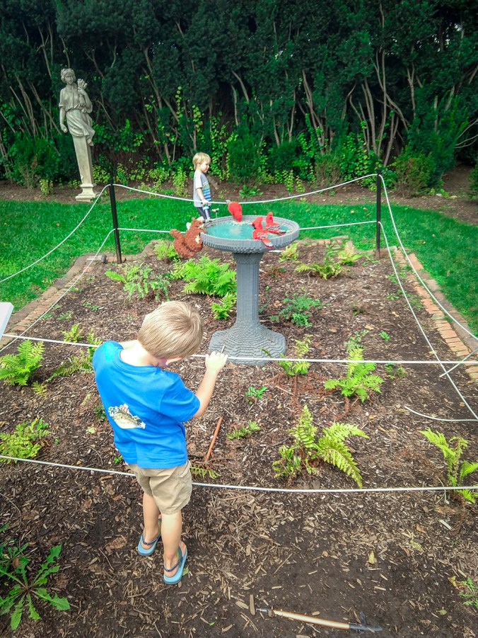 IMG_20180809_112228388_smaller