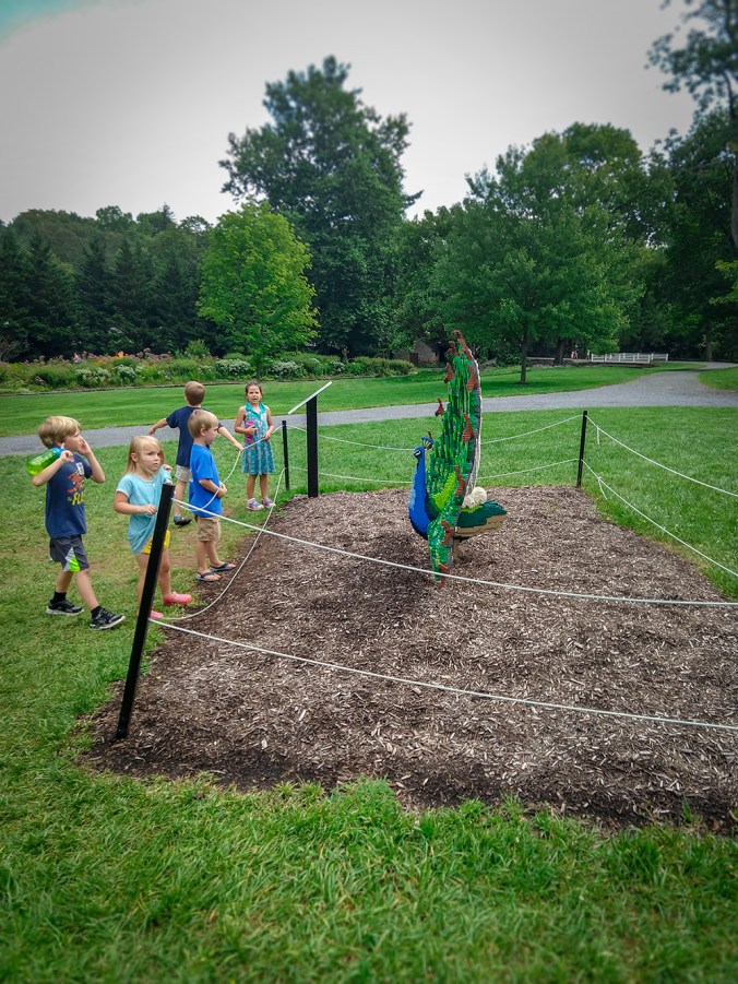 IMG_20180809_112622102_smaller