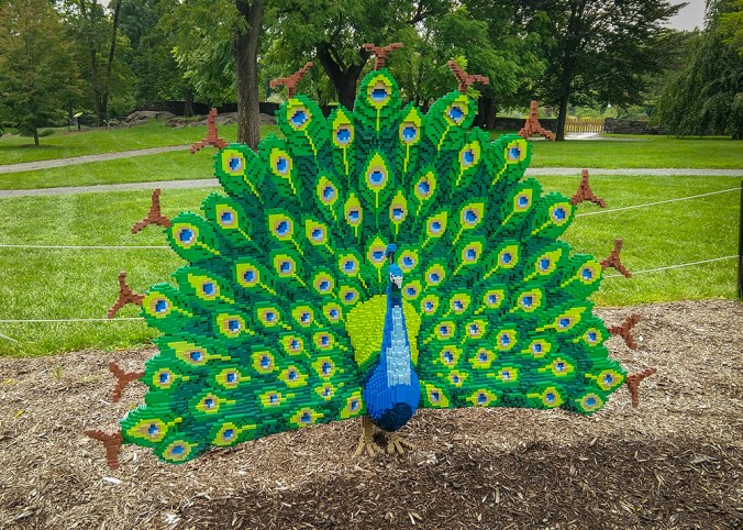 IMG_20180809_112635165_small