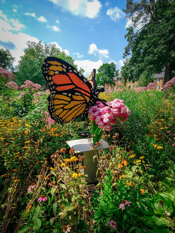 IMG_20180809_113744374_small