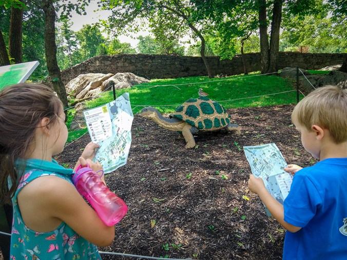 IMG_20180809_120102636_smaller