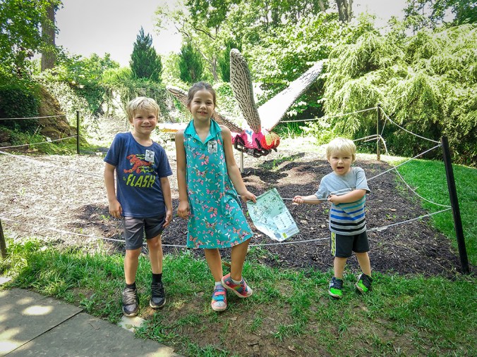 IMG_20180809_121231238_small