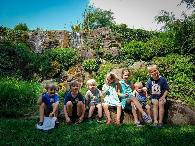 IMG_20180809_121732881_small