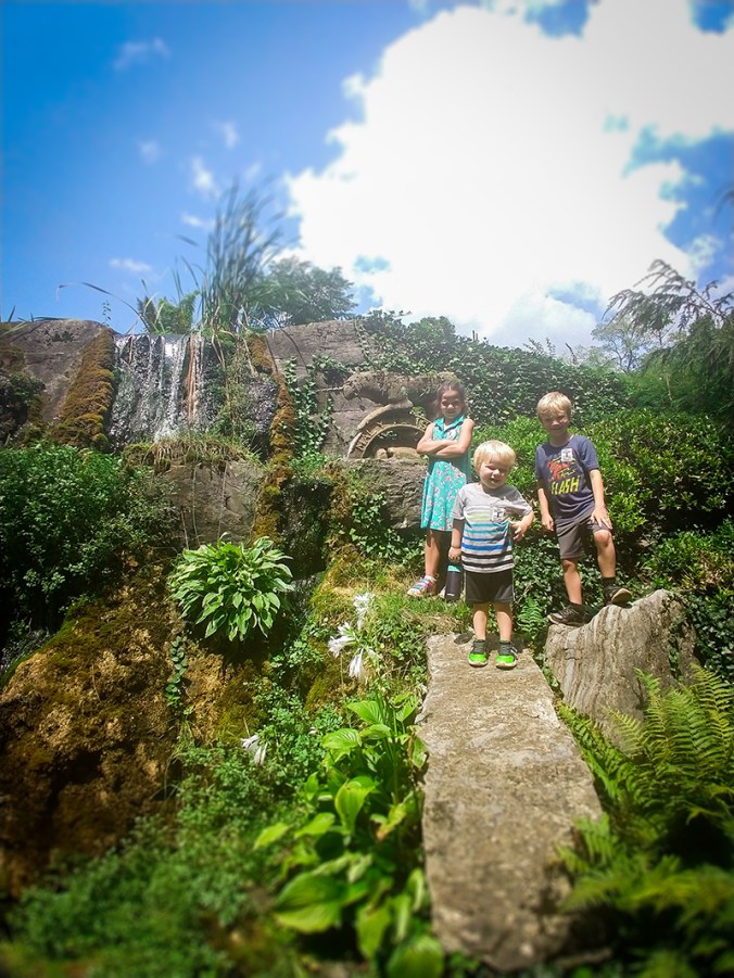 IMG_20180809_122016165_small