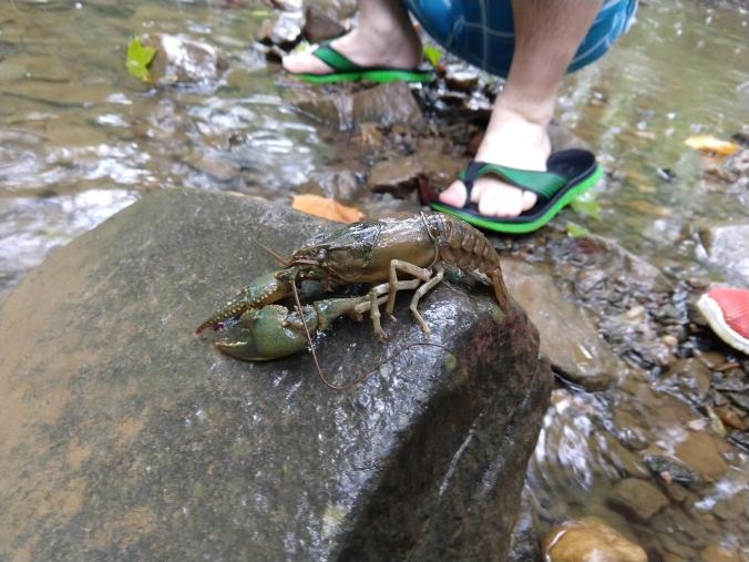 IMG_20180812_162712709