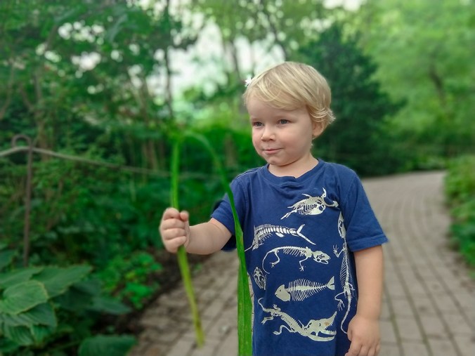 IMG_20180818_140232043_PORTRAIT