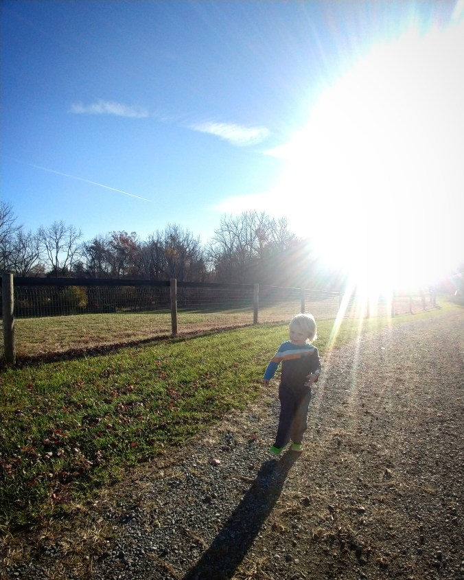 IMG_20181104_184004_012